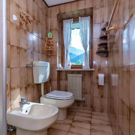 Nigritella 23 Apartmán Falcade